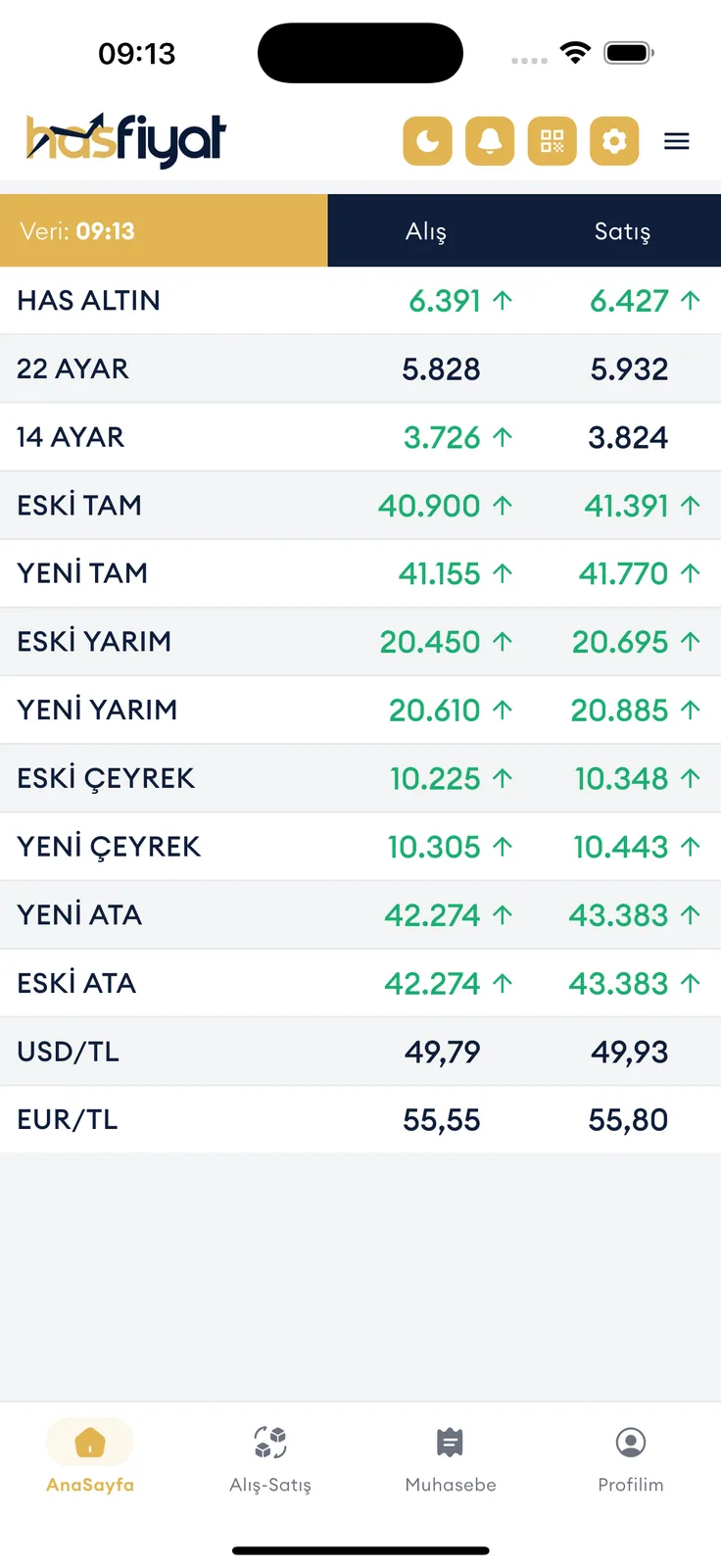 HasFiyat ekran görüntüsü
